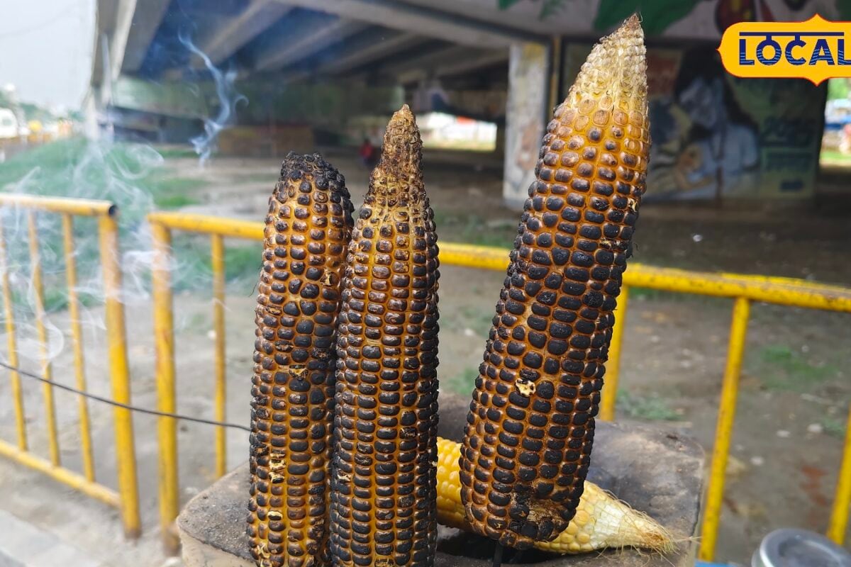 बारिश में भुट्टा खाना स्वाद और सेहत दोनों के लिए बेहतर फाइबर विटामिन से भरपूर पाचन तंत्र होता है मजबूत