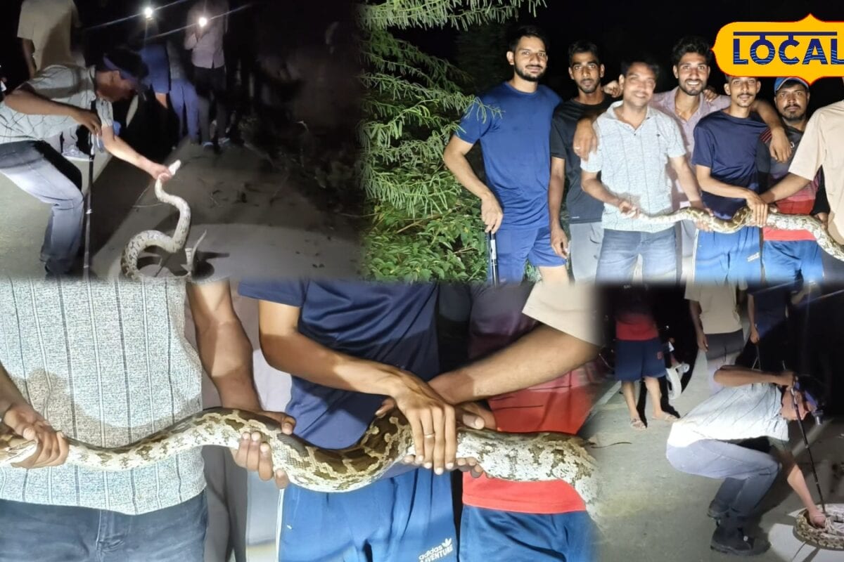 सड़क किनारे अचानक दिखा विशाल अजगर! ग्रामीणों में मची अफरा-तफरी रेस्क्यू टीम ने समय रहते टाला बड़ा हादसा