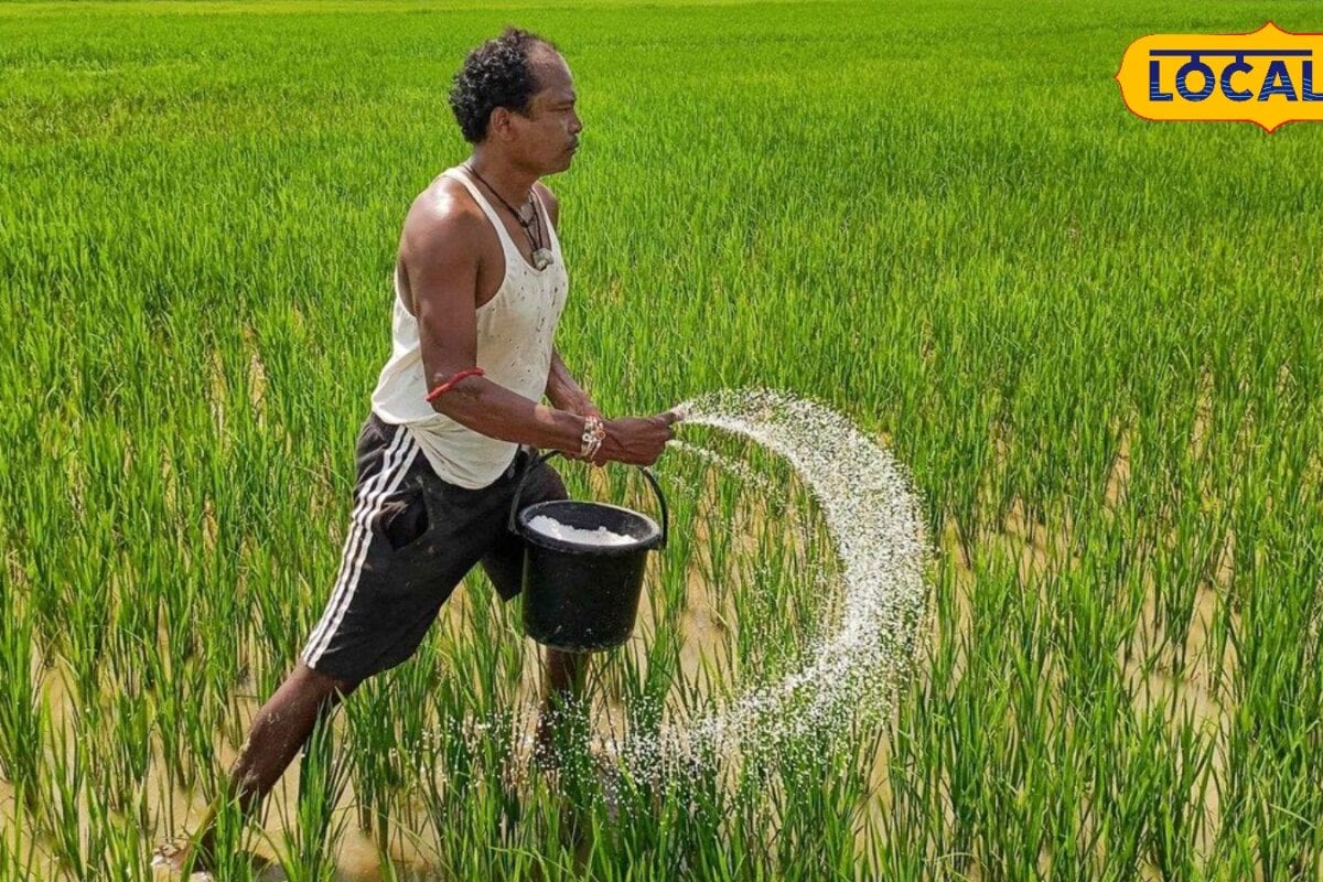 कहीं आप भी तो अपने खेतों नहीं इस्तेमाल कर रहे नकली यूरिया और डीएपी कृषि विशेषज्ञ से जानिए असली-नकली की पहचान
