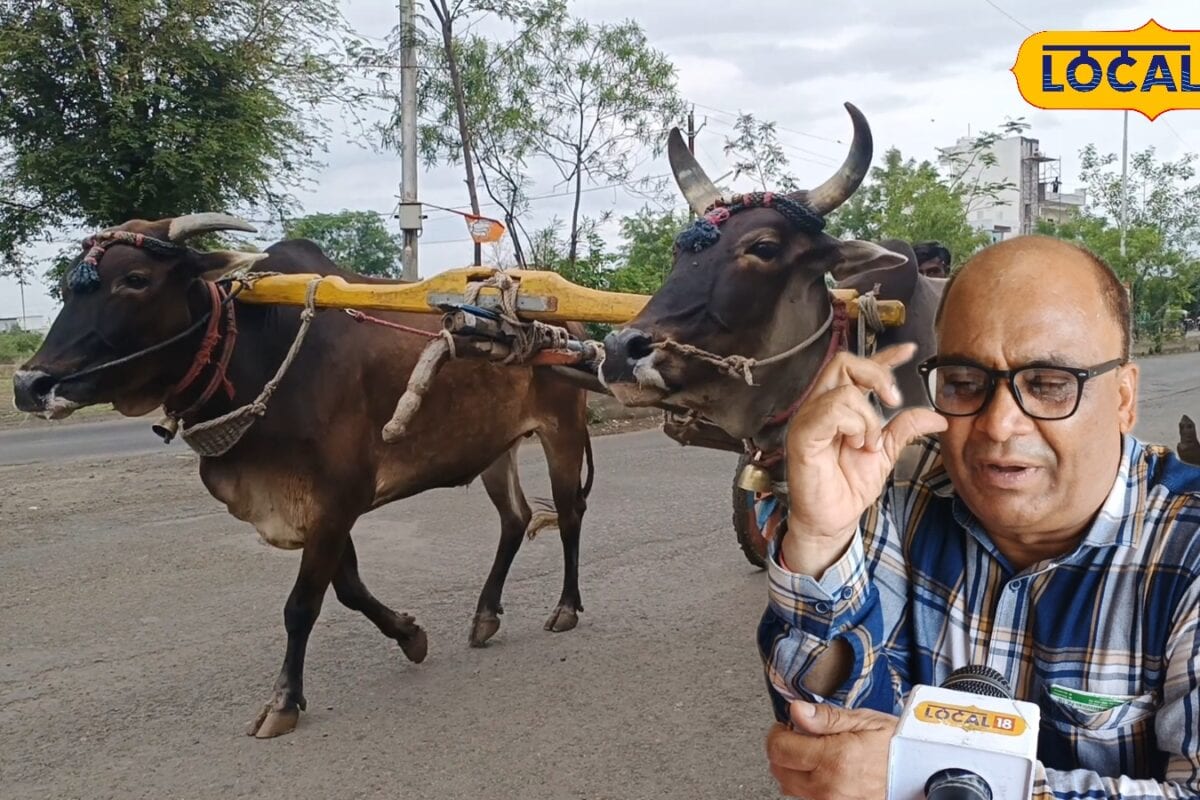 पशुपालकों के लिए खुशखबरी! MP सरकार दे रही ₹160 लाख तक का लोन चारा खरीदने पर मिलेगा 3% अनुदान