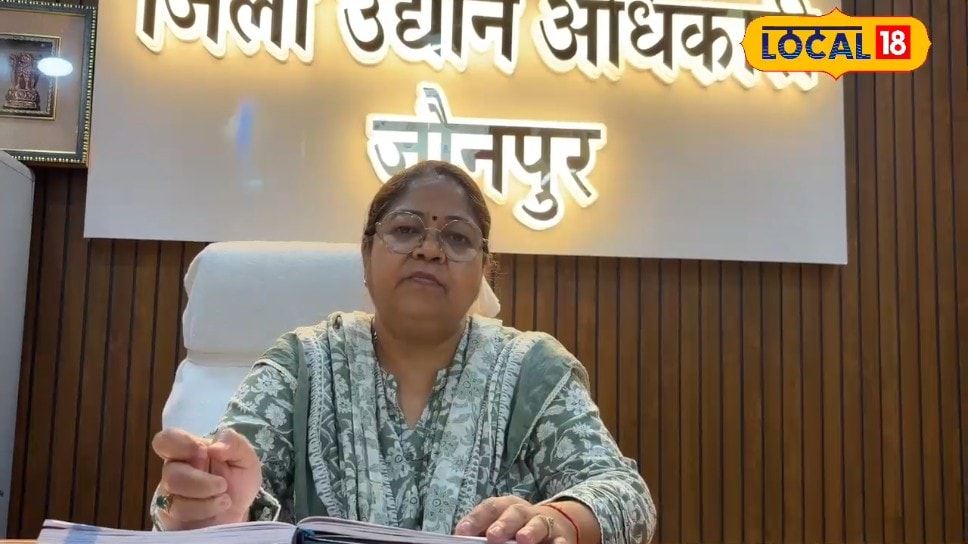 सिर्फ 85 रुपए का यह पौधा बदलेगा आपकी किस्मत यकीन मानिए हर साल होगी हजारों की कमाईजानिए पूरा गणित
