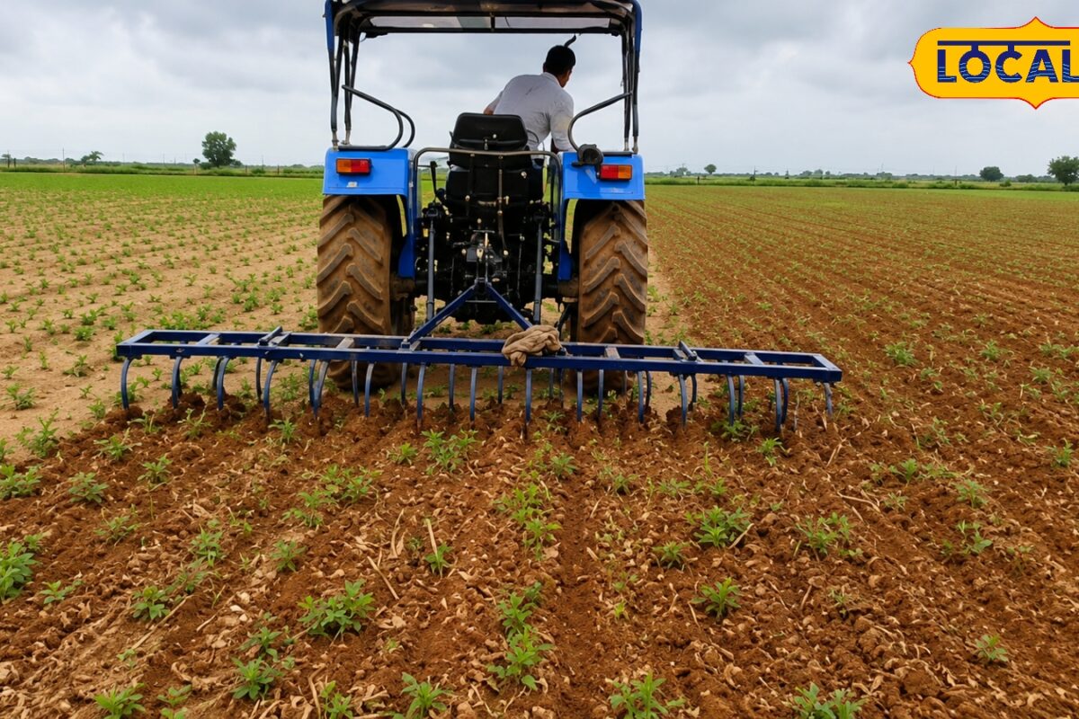 Agriculture News: अब नहीं पड़ेगी मजदूरों की जरूरत... नागौर के किसान 'हळनी' से आधे समय में कर रहे निराई