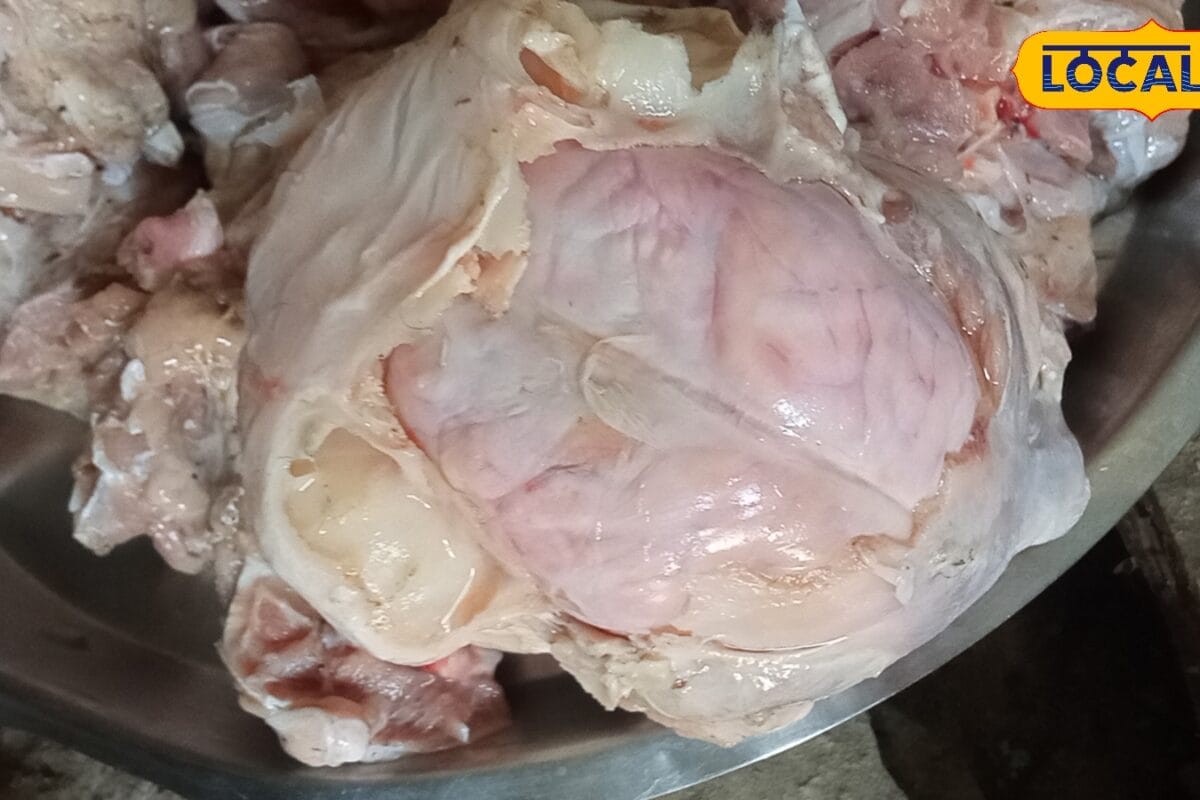 Recipe: मटन-चिकन भूल जाएंगे! जब कुकर में खास तरीके से बनाएंगे मिथिलांचल स्टाइल भेजा फ्राई जानें खास रेसिपी