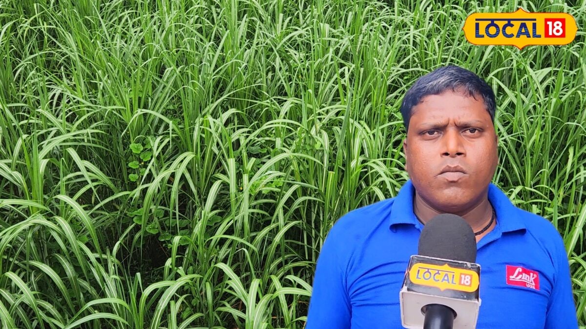 किसान दुर्गेश कुमार सिंह से जानें गन्ने की खेती के फायदे, लागत, मुनाफा और बीमारियों से बचाव के तरीके किसान दुर्गेश कुमार सिंह से जानें गन्ने की खेती के फायदे, लागत, मुनाफा और बीमारियों से बचाव के तरीके