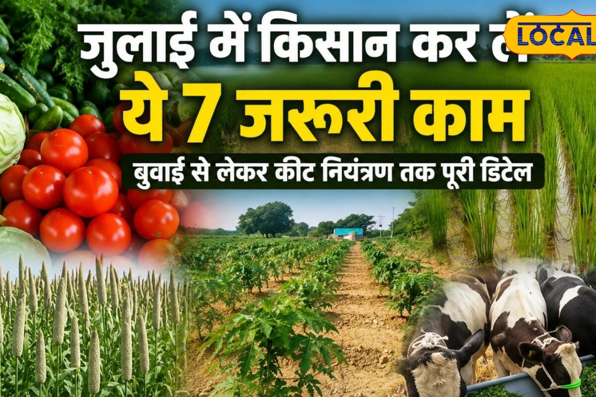 Agriculture: खेती का गोल्डन फॉर्मूला, जुलाई में किसान जरूर करें ये 7 काम, खेत उगलेंगे सोना, बढ़ेगी कमाई