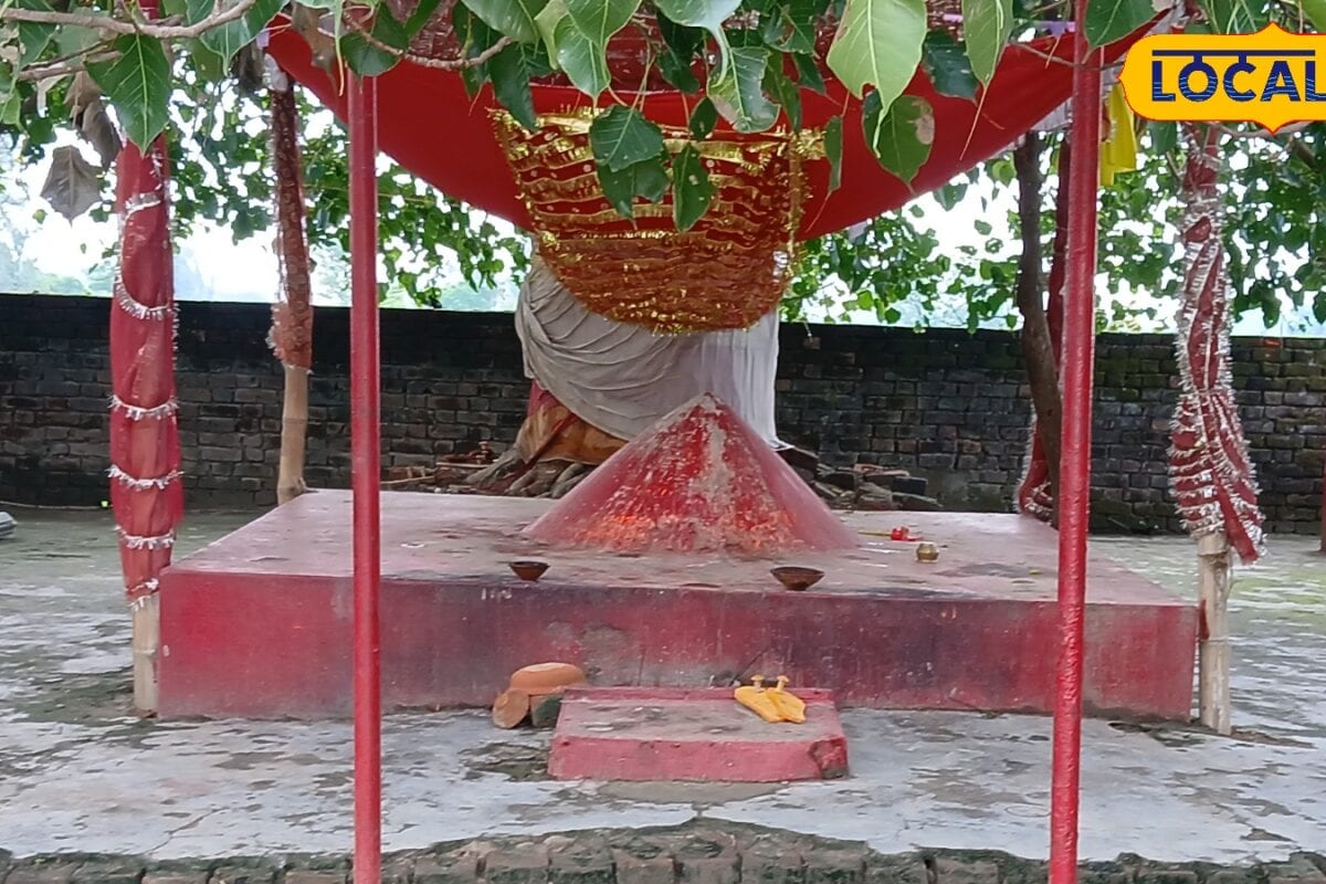 महराजगंज के सिसवा में पीपल का पेड़ कटते ही शुरू हो गई थीं रहस्यमयी घटनाएं निकलने लगे थे डरावने सांप जाने