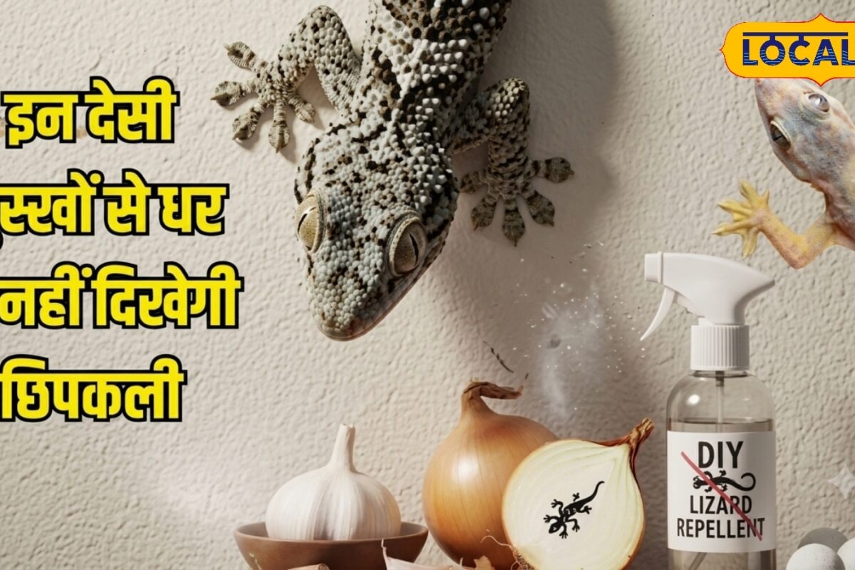 Tips and Tricks: घर में बार-बार दिख रही हैं छिपकलियां अपनाएं ये देसी उपाय AC से लेकर रसोई तक नहीं होगी एंट्री