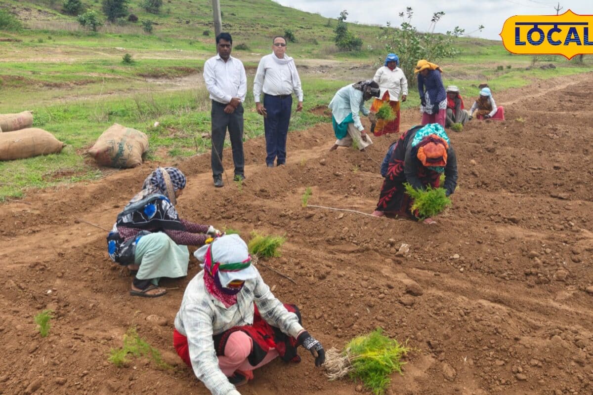 https://images.news18.com/ibnkhabar/uploads/2026/07/HYP_5869149_cropped_22072026_102655_img20260721wa0011_watermar_1-1200x800.jpg