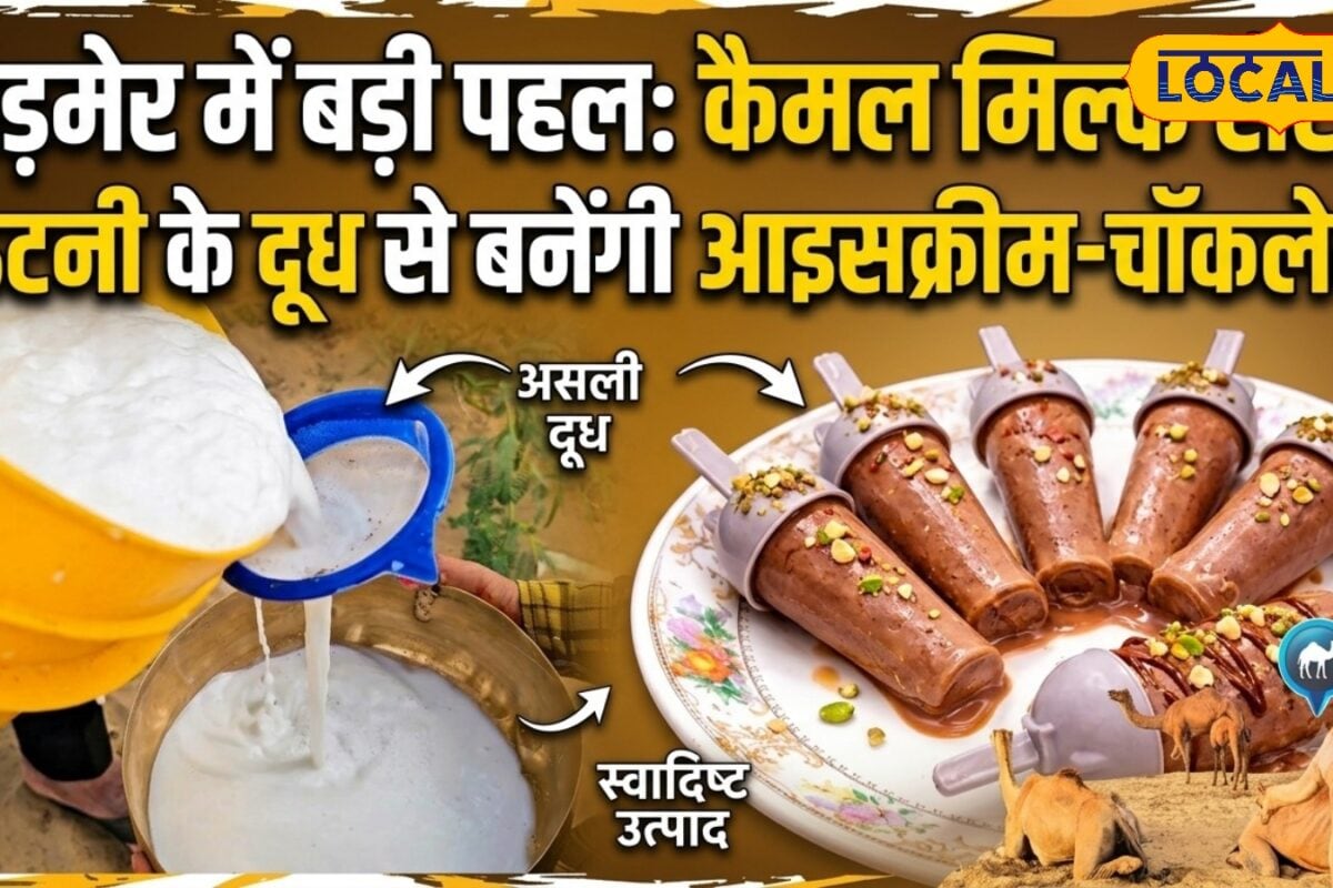 अब ऊंटनी के दूध से बनेगी आइसक्रीम-चॉकलेट बाड़मेर में शुरू होगा कैमल मिल्क सेंटर