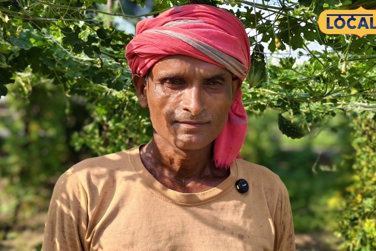 धान-गेहूं छोड़ लगाया करेला अब हर सीजन हो रही तगड़ी कमाई जानिए क्या है इस किसान का पूरा फार्मूला
