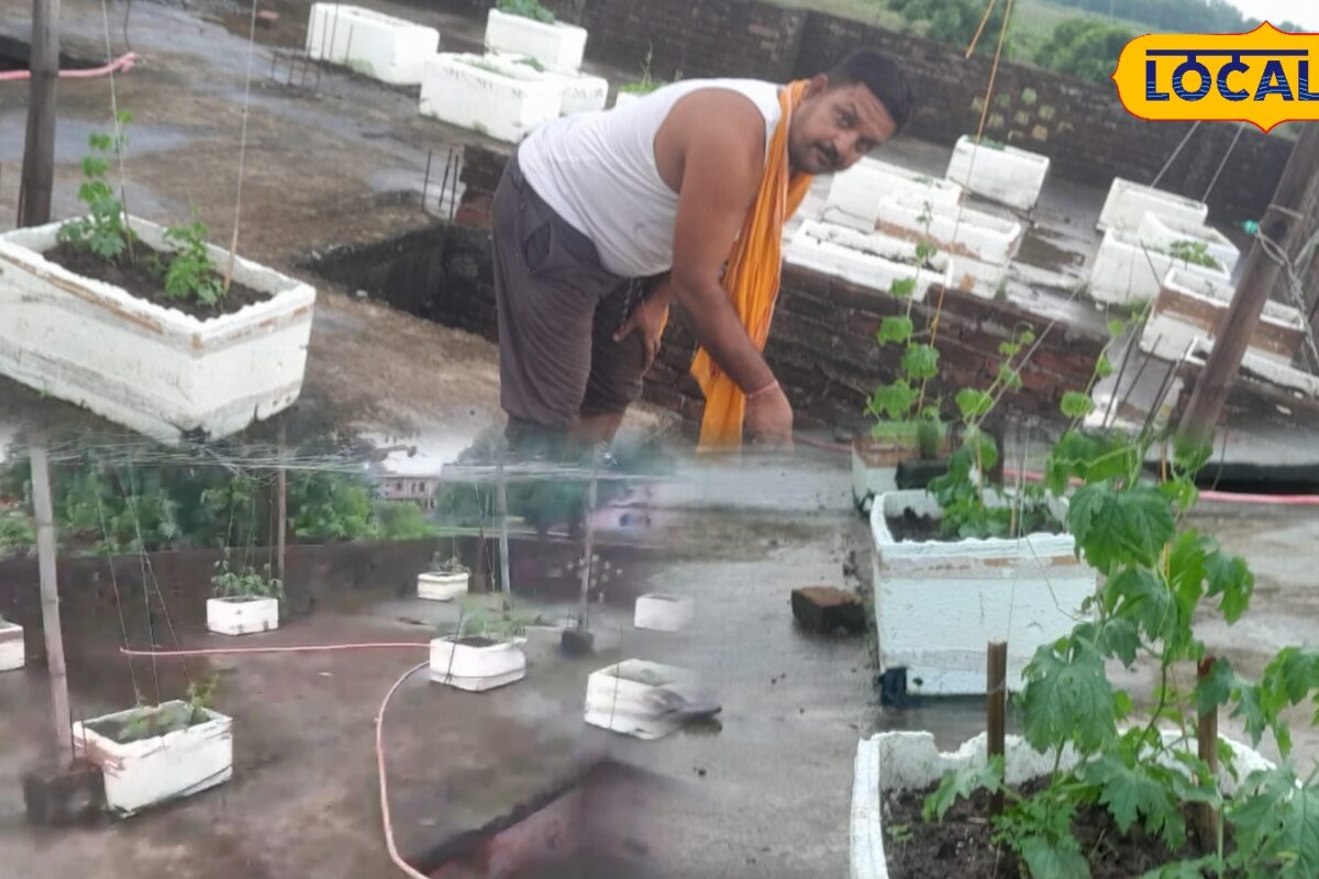 Bhojpur News: बाढ़ बनी अवसर! रणवीर सिंह ने घर की छत को बना दिया ऑर्गेनिक फार्म देखें देसी जुगाड़