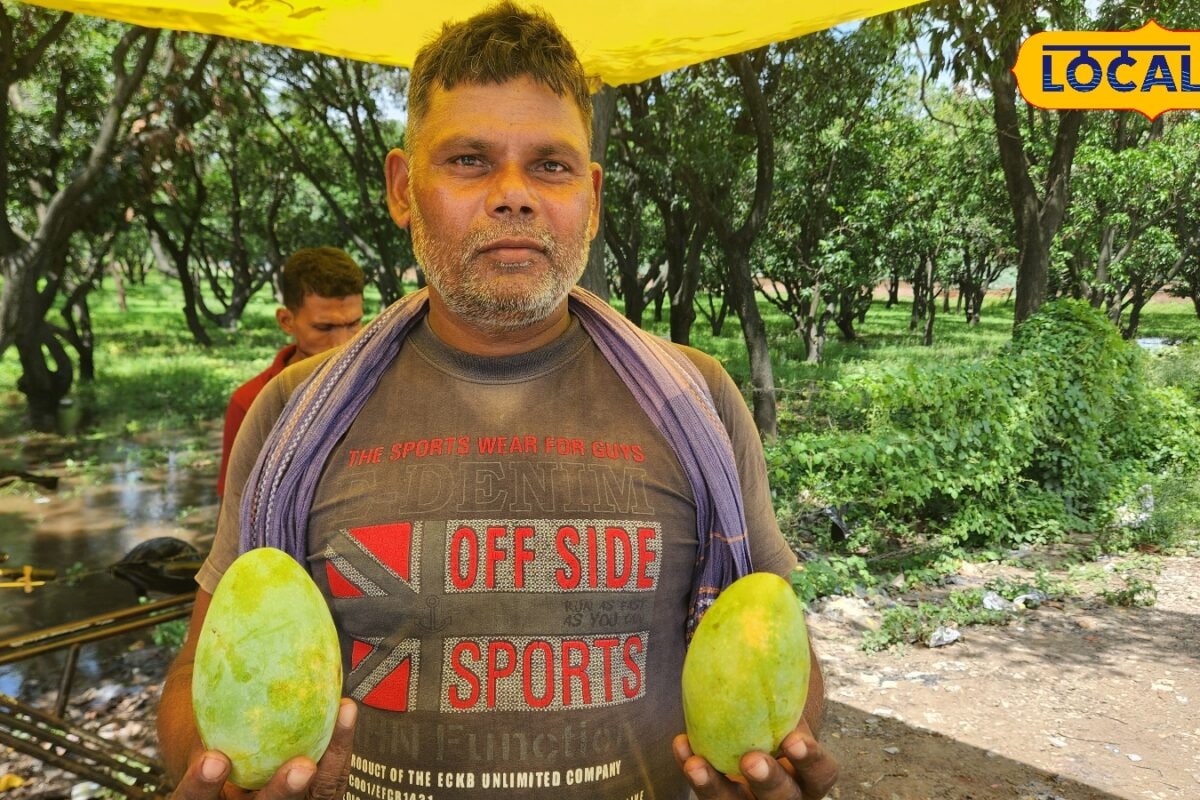 कच्चे में मिठास तो पके में जबरदस्त स्वाद यही है बहराइच के फ़ज़री आम की पहचान
