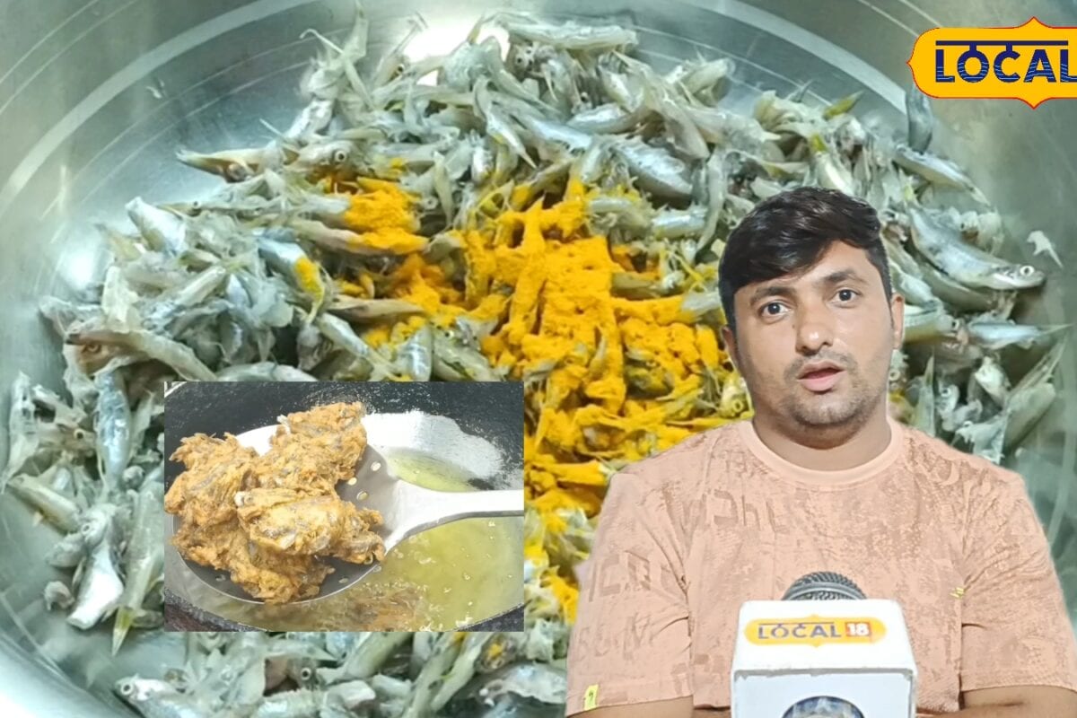 निमाड़ के बुरहानपुर की भात मछली से बनते हैं लाजवाब भजिए जानें घर पर बनाने की आसान विधि