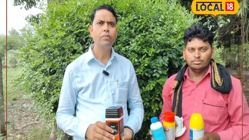 इस दवा के छिड़काव से खत्म होंगे हर तरह के खरपतवार जानें घोल बनाने का तरीका और छिड़काव का समय