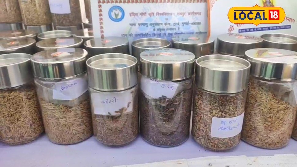 बस्तर के इस किसान ने बचाई धान की 350 देशी किस्में जैविक खेती से कमा रहे लाखों 100 रुपये किलो तक बिकता है खास धान