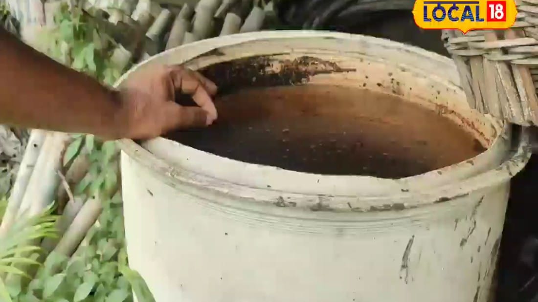 Agri Tips: बिहार के किसान रणजीत का कमाल! महज ₹15-50 में बनाई जैविक दवा घास गलकर बनेगी खाद