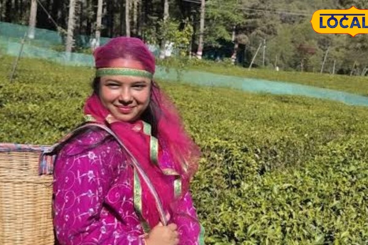 नैनीताल के श्यामखेत और रामगढ़ के चाय बागान पर्यटकों को देते हैं दार्जिलिंग जैसा अनुभव 40 एकड़ में फैला