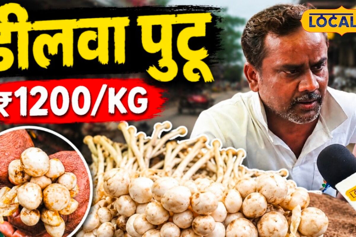 बिजली कड़कने पर ही निकलता है 'डीलवा पुटू', चिकन-मटन से ज्यादा दाम; फायदे चौंकाने वाले!
