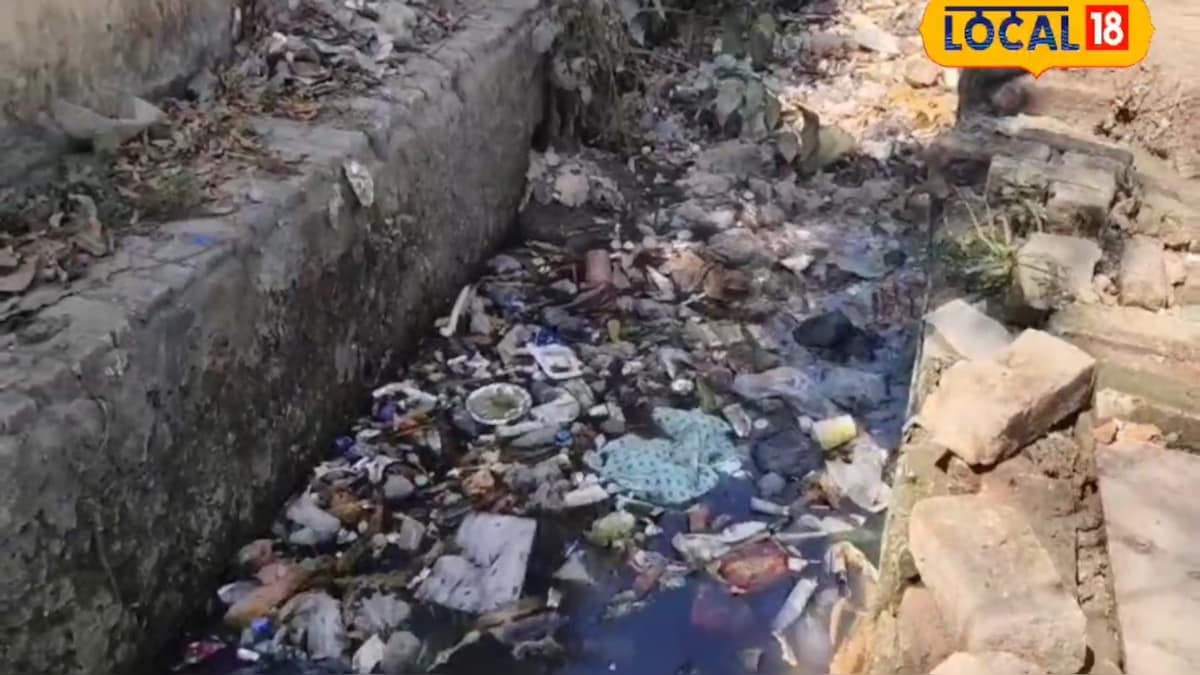 सुल्तानपुर में आईटीआई कॉलेज और गभड़िया नाला गंदगी से भरा, सफाई अभियान की खुली पोल, स्थानीय परेशान सुल्तानपुर में आईटीआई कॉलेज और गभड़िया नाला गंदगी से भरा, सफाई अभियान की खुली पोल, स्थानीय परेशान
