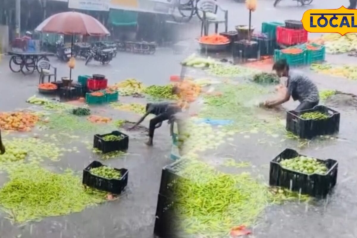 पाली में बारिश का कहर! मंडी बनी तालाब गंदे पानी में तैरती मिर्चियां देख उड़ जाएंगे होश वायरल हुआ वीडियो