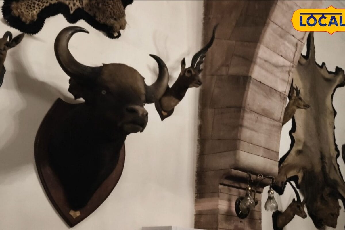 बीकानेर का ऐतिहासिक शाही महल बना पर्यटकों का आकर्षण! दीवारों पर उकेरी शिकार की गाथाएं आज भी करती हैं हैरान