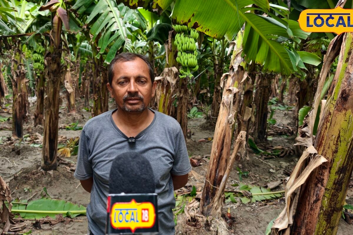 Success story: मऊ के राजकुमार यादव केला की खेती से कर रहे बंपर कमाई कम लागत में लाखों का मुनाफा जानें कैसे