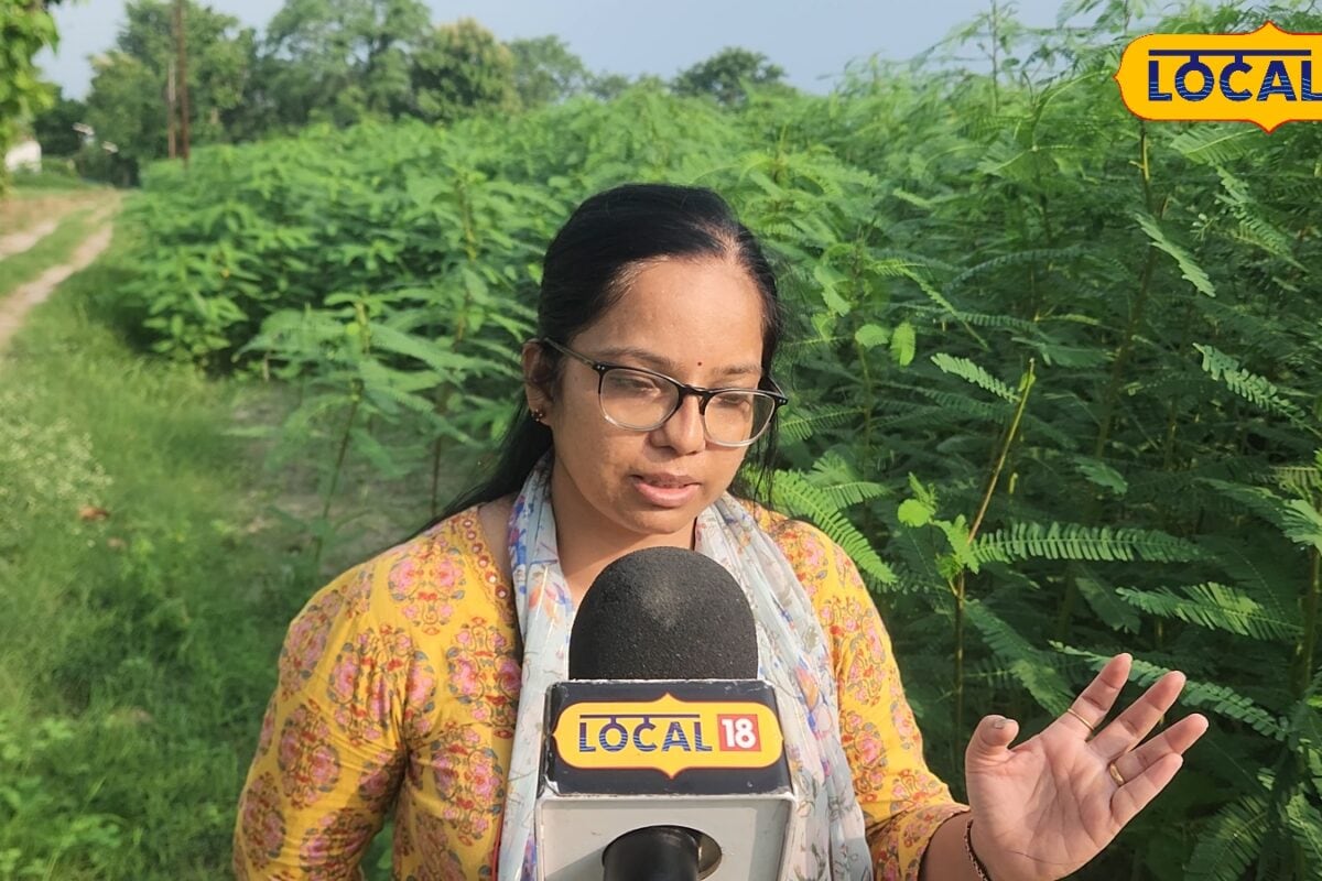 बहराइच: ढेंचा बीज उत्पादन की आसान तकनीक से किसान अब खुद तैयार कर सकेंगे बीज डॉ प्रियंका ने दी जानकारी
