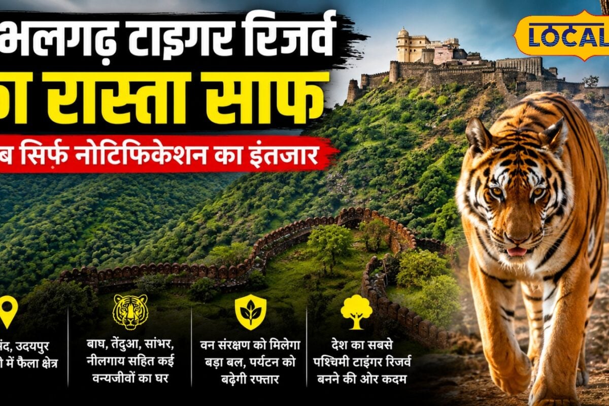 कुंभलगढ़ टाइगर रिजर्व बनने की राह साफ अब सिर्फ लास्ट नोटिफिकेशन का इंतजार वन्यजीव संरक्षण को मिलेगी नई ताकत