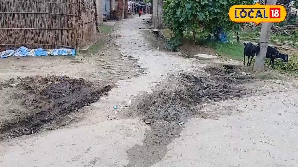 महराजगंज के वाइब्रेंट विलेज भेड़िहारी में बुनियादी सुविधाओं का अभाव खराब सड़कें और जल निकासी की समस्या से ग्रामीण परेशान