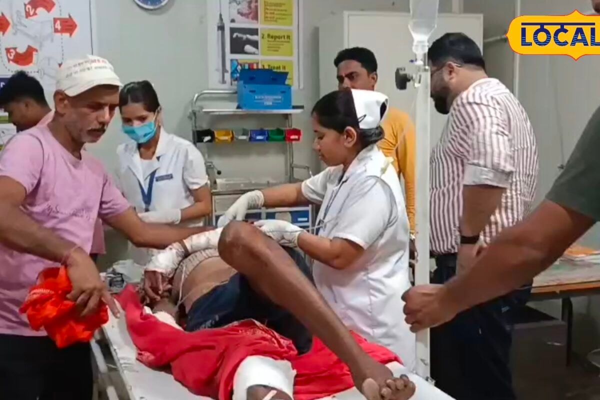 West Champaran: बाघ ने दबोचाबुजुर्ग चिल्लायाफिर हुआ महासंग्राम जानें फिर क्या हुआ