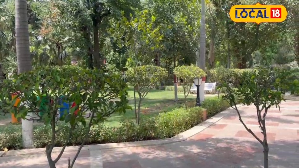 Delhi Top Parks: रोमांटिक डेट हो या फैमिली के साथ फन वीकेंड ये हैं दिल्ली के 5 बेस्ट डेस्टिनेशन जानें लोकेशन
