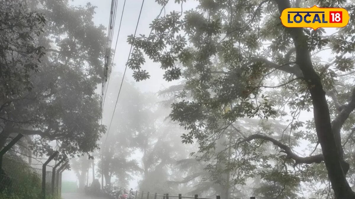 बारिश में घूमने का बना रहे प्लान? देहरादून-मसूरी की ये जगहें करेंगी सफर यादगार