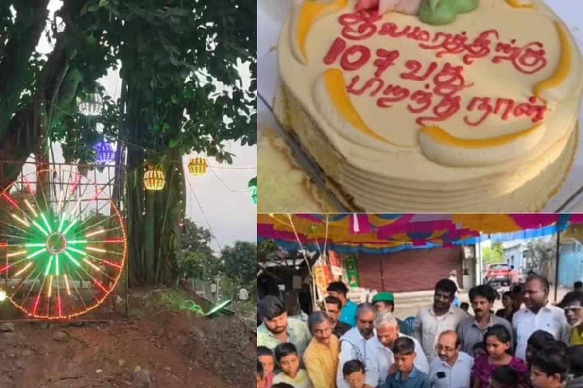 107 साल के बरगद के पेड़ को सजा-धजा कर क्यों मनाया गया बर्थडे काटा गया केक बांटे गए गिफ्ट