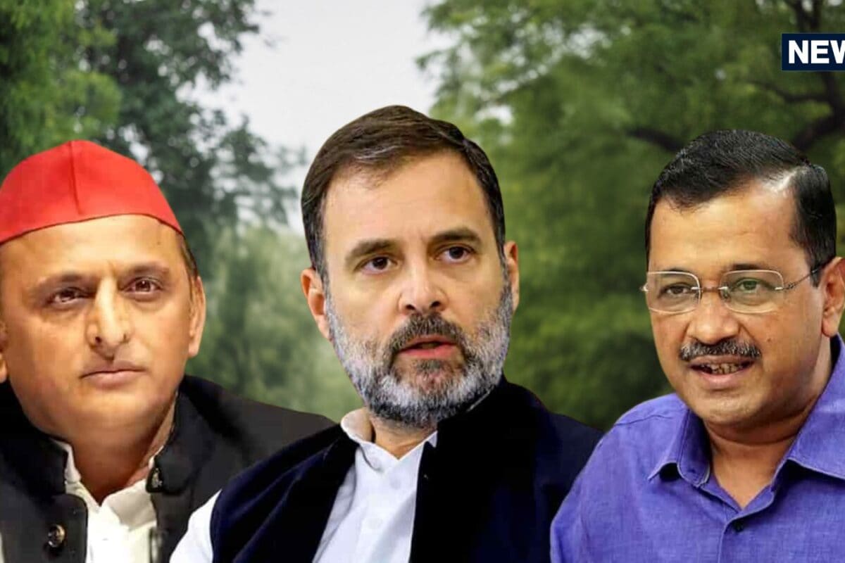 Sushant Sinha: इस्तीफा डन धरना खत्म राहुल अखिलेश या केजरीवाल क्रेडिट की दौड़ में कौन आगे