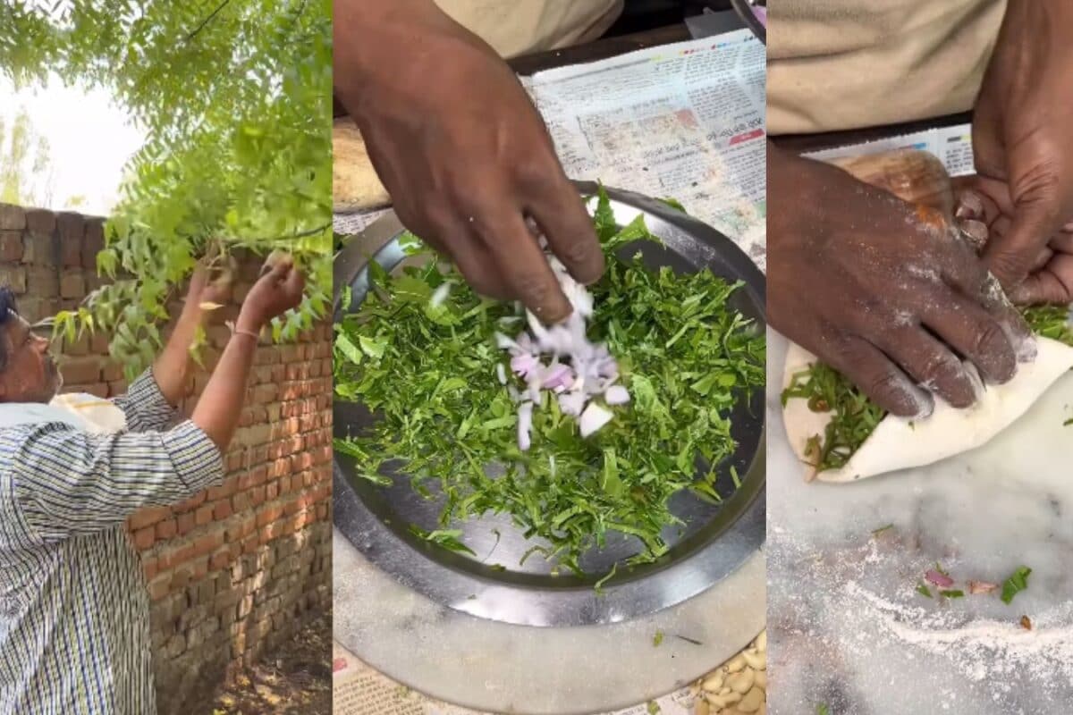 स्ट्रीट फूड वाले ने बनाया नीम का पराठा, मसाले और प्याज डालकर तैयार की अनोखी डिश, लोग बोले- 'ये क्या बना दिया!'