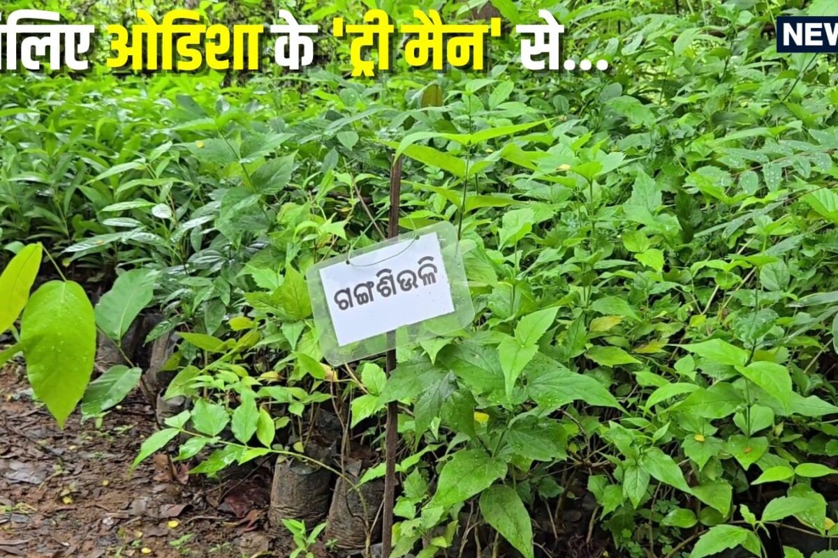 खुद पर महीने का खर्च 10 हजार रुपये से भी कम पर उससे कई ज्यादा पेड़ों पर करते हैं खर्च मिलिए ओडिशा के ट्री मैन से