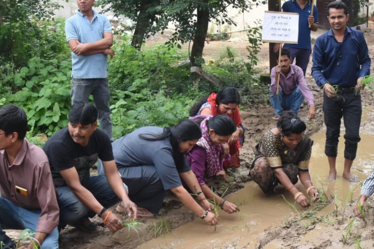 भोपाल में सड़क पर ही धान रोपने लगे लोग, अनोखा प्रदर्शन करने को हुए मजबूर; अब हो रही चर्चा