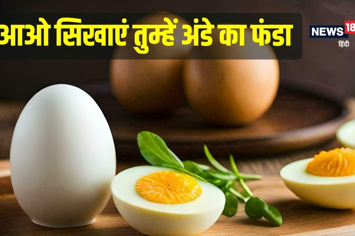 अंडा वेज या नॉन-वेज हर अंडे से चूजा नहीं निकलता तब भी यह नॉन-वेज क्यों मिड डे मील विवाद से समझिए एग साइंस
