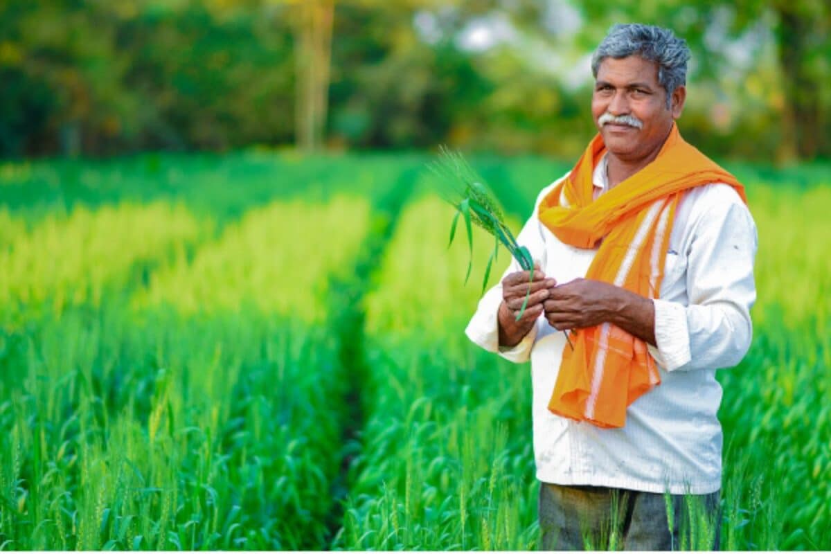Crop Production : भला हो किसानों का जिनकी वजह से नहीं बढ़ेगी महंगाई रिकॉर्ड उत्पादन से काबू में है कीमत