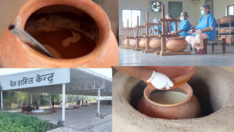 krishna mohan yadav dairy farm Haryana, gir amritphal gaushala owner name, gir amritphal gaushala address, gir amritphal gaushala contact number, gir amritphal gaushala price, gir cow kitna dudh deti hai, gir cow price in up, gir cow for sale, gir cow milk production per day, gir cow milk per day, gir cow photo , gir cow milk capacity, gir cow milk price per litre, Haryana news, Haryana news today, Harayana news hindi, gurugram news, Gurugram news today krishna mohan yadav dairy farm Haryana, gir amritphal gaushala owner name, gir amritphal gaushala address, gir amritphal gaushala contact number, gir amritphal gaushala price, gir cow kitna dudh deti hai, gir cow price in up, gir cow for sale, gir cow milk production per day, gir cow milk per day, gir cow photo , gir cow milk capacity, gir cow milk price per litre, Haryana news, Haryana news today, Harayana news hindi, gurugram news, Gurugram news today