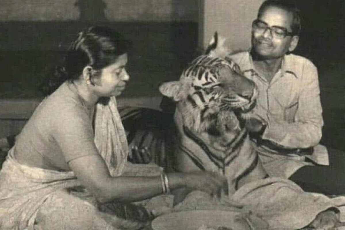 कौन थी खैरी बाघिन जो इंसानों के बीच रही कुत्तों संग खेली फिर बदल दी बाघों को समझने की दुनिया