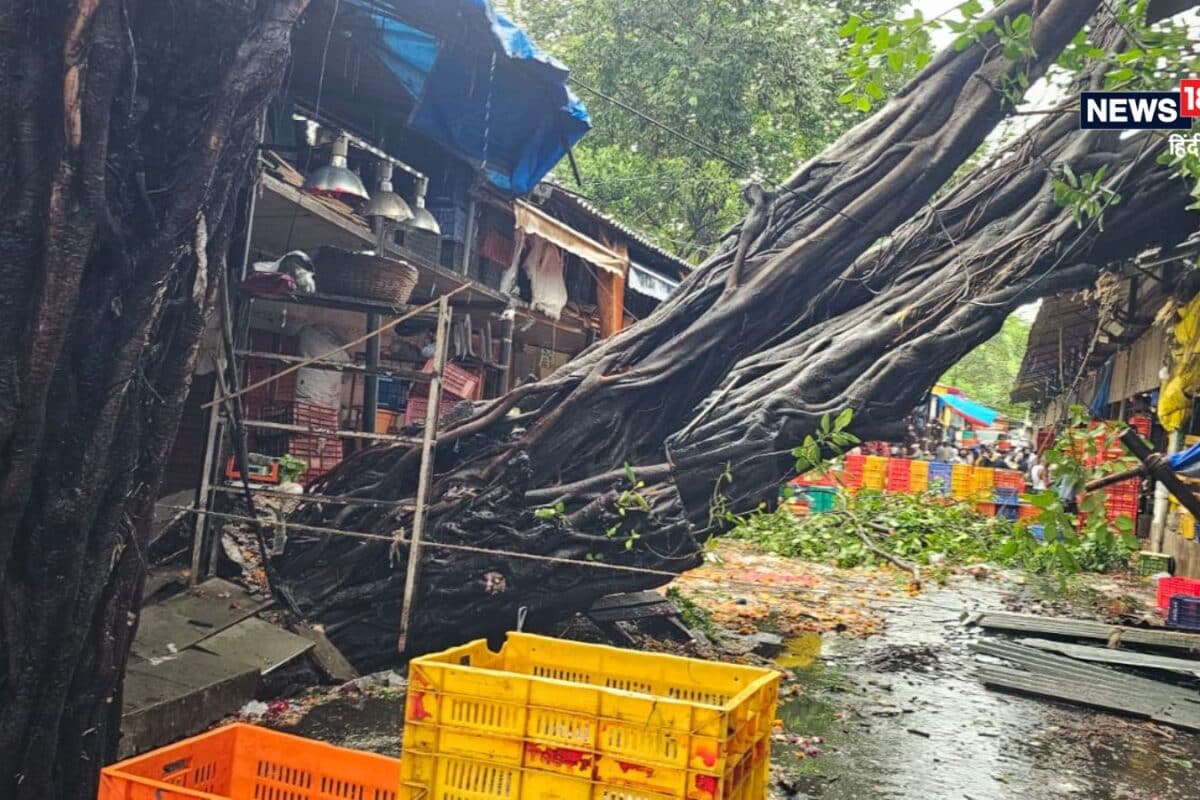 Monsoon Rain Live: मुंबई से यूपी-बिहार तक मानसून लाया आफत मथुरा अंडरपास डूबा जयपुर के अस्पताल में घुसा पानी