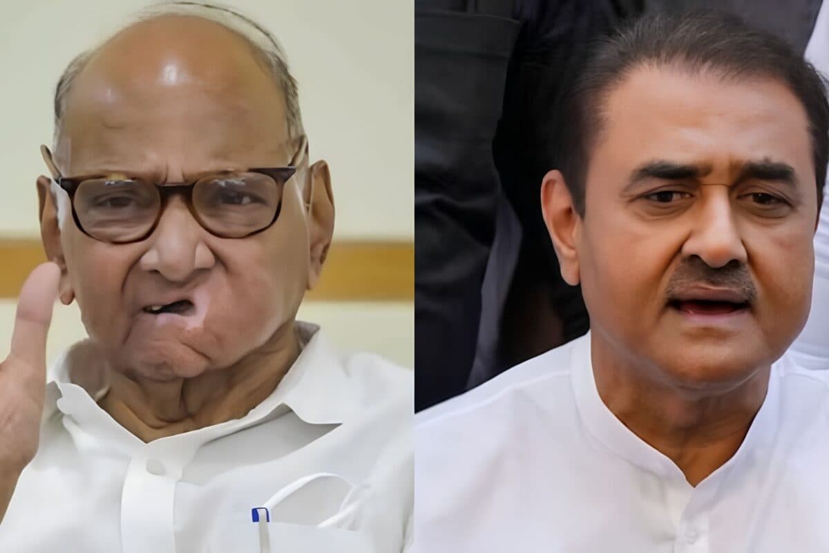NCP का मर्जर फाइनल! दादा शरद पवार से मिले अजित पवार के बेटे पार्थ प्रफुल्ल पटेल बने संकटमोचक