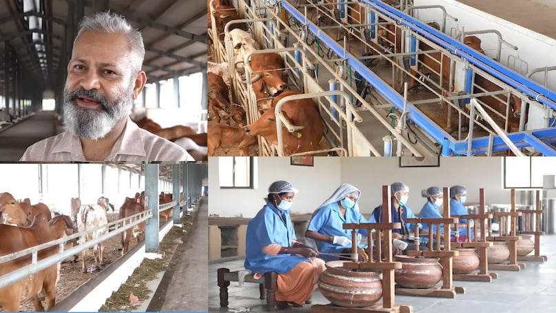 krishna mohan yadav dairy farm Haryana, gir amritphal gaushala owner name, gir amritphal gaushala address, gir amritphal gaushala contact number, gir amritphal gaushala price, gir cow kitna dudh deti hai, gir cow price in up, gir cow for sale, gir cow milk production per day, gir cow milk per day, gir cow photo , gir cow milk capacity, gir cow milk price per litre, Haryana news, Haryana news today, Harayana news hindi, gurugram news, Gurugram news today krishna mohan yadav dairy farm Haryana, gir amritphal gaushala owner name, gir amritphal gaushala address, gir amritphal gaushala contact number, gir amritphal gaushala price, gir cow kitna dudh deti hai, gir cow price in up, gir cow for sale, gir cow milk production per day, gir cow milk per day, gir cow photo , gir cow milk capacity, gir cow milk price per litre, Haryana news, Haryana news today, Harayana news hindi, gurugram news, Gurugram news today
