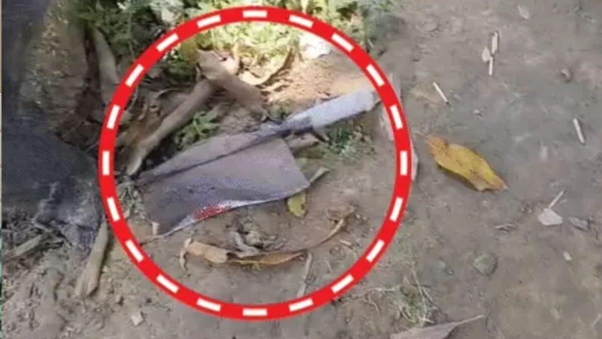 7 साल के Gen-Alpha की पिता ने नहीं मानी बात, तो बेटे ने गड़ासे से कर दिया हमला 7 साल के Gen-Alpha की पिता ने नहीं मानी बात, तो बेटे ने गड़ासे से कर दिया हमला