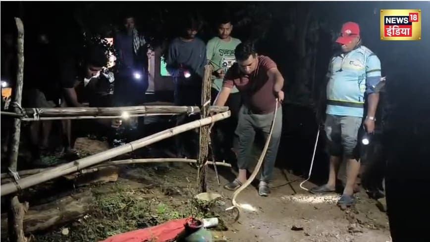 ओडिशा में बाढ़ का पानी घटा तो बढ़ा सांपों का खतरा घरों में घुसे कोबरा-करैत रेस्क्यू जारी