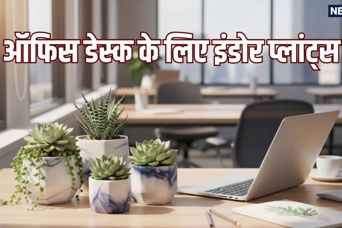 ऑफिस डेस्क पर इन 7 में से कोई एक भी छोटा इंडोर प्लांट्स रखें! चुटकियों में भागेगा काम का तनाव तेजी से बढ़ेगी प्रोडक्टिविटी