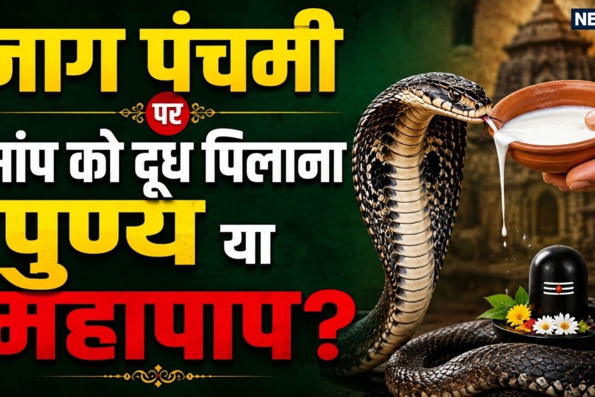 नाग पंचमी पर क्या सच में नागों को दूध पिलाने से मिलता है पुण्यफल जानें सांप और दूध को लेकर फैली भ्रांतियां का सच