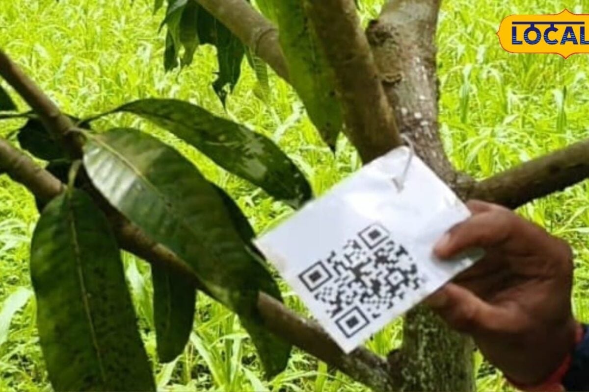 अब पौधों में भी लगेगा QR कोड, स्कैन करते ही मिलेगी पानी खाद और सेहत की पूरी जानकारी