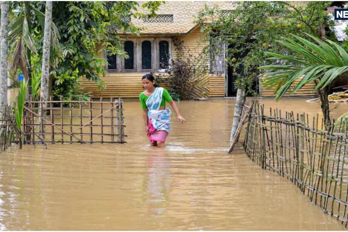 बाढ़ से तबाह असम: 15000 हेक्टेयर से ज्यादा फसल बर्बाद 89 मौतों से बढ़ी चिंता 26000 से ज्यादा पशु भी चपेट में